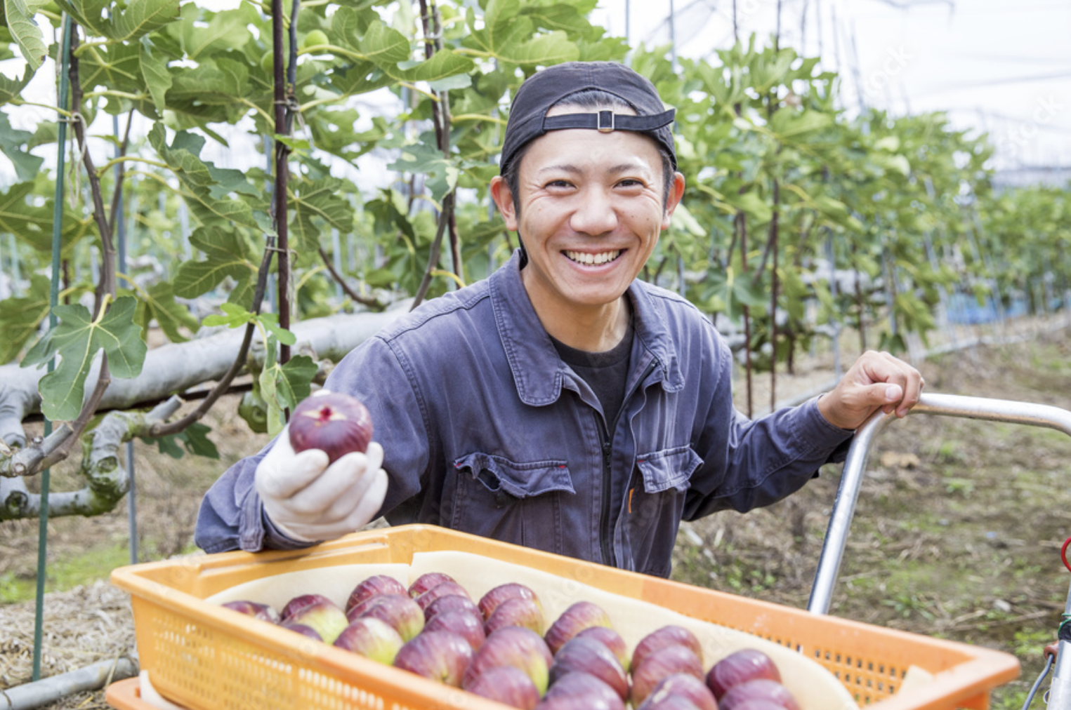 本日の作業