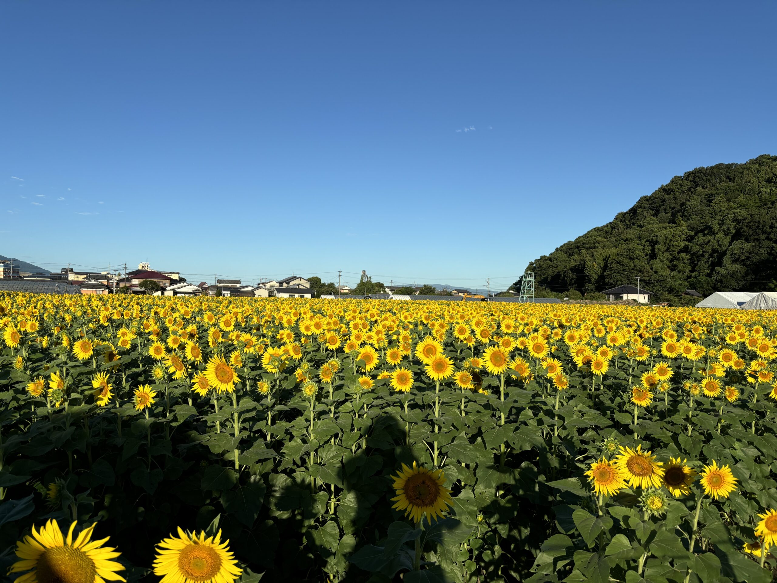 【利用者様募集中】朝倉市の就労継続支援B型「常葉」で自分に合った働き方を見つけませんか？